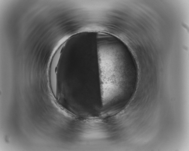 X0000097780864200803211757