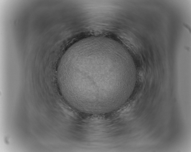 X0000097780865200803211756