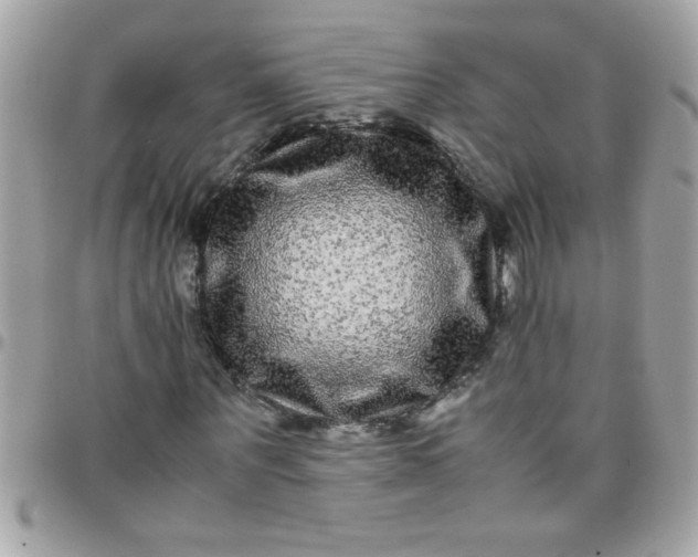 X0000097780867200803211756