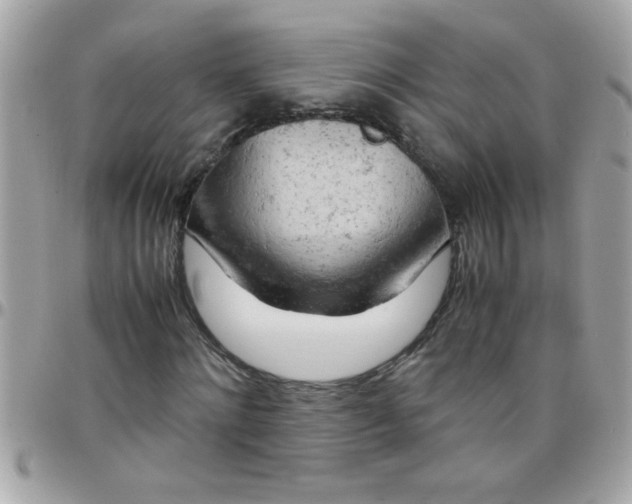 X0000097780868200803211756