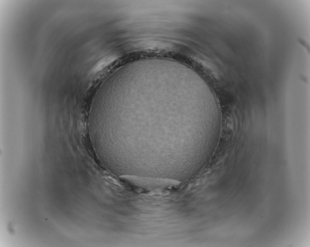 X0000097780869200803211756