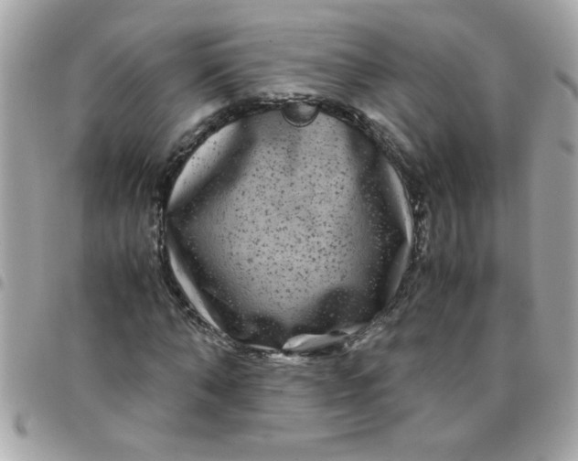 X0000097780870200803211756