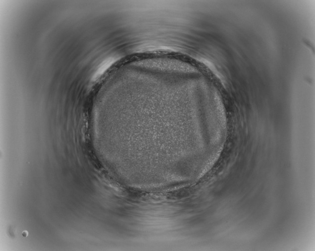 X0000097780871200803211756