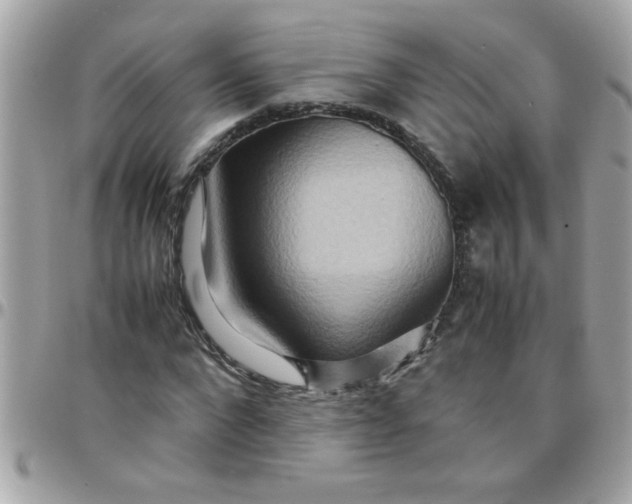 X0000097780872200803211756