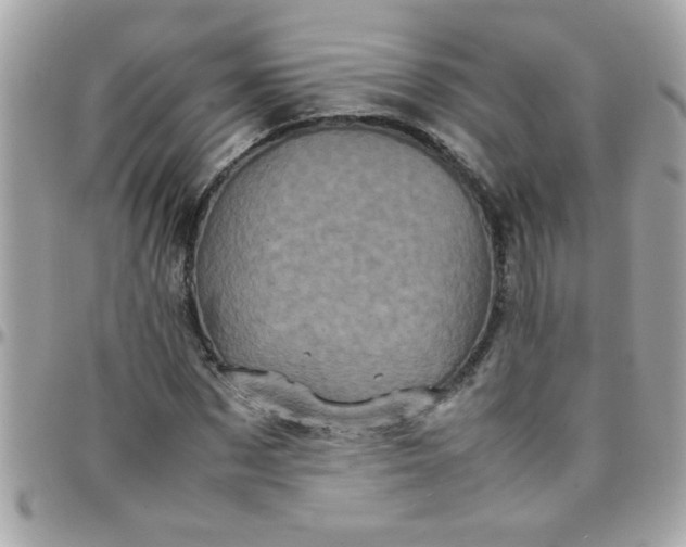 X0000097780873200803211756