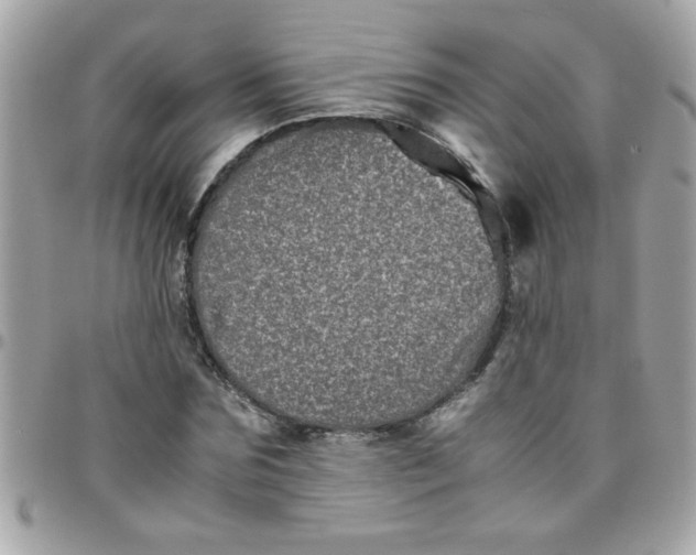 X0000097780875200803211756