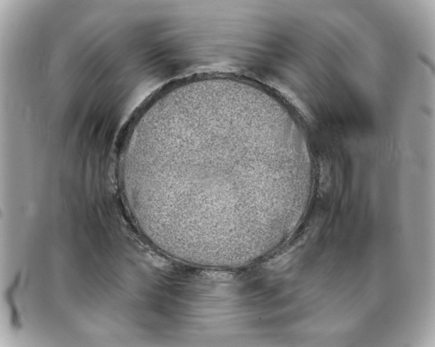 X0000097780878200803211756