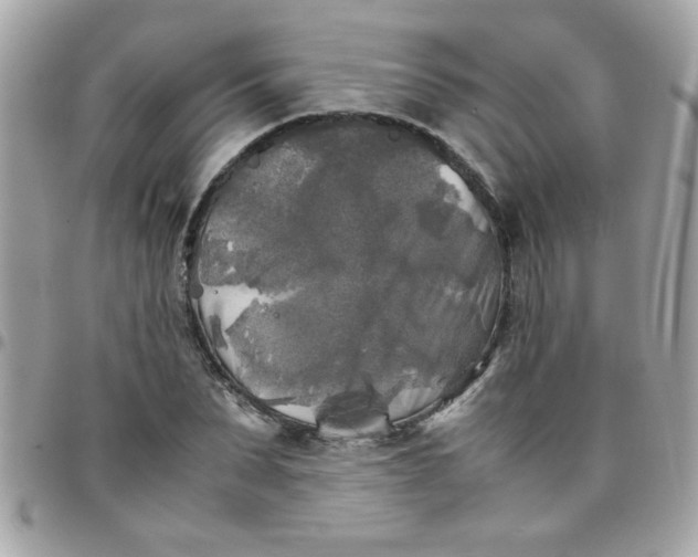 X0000097780879200803211756