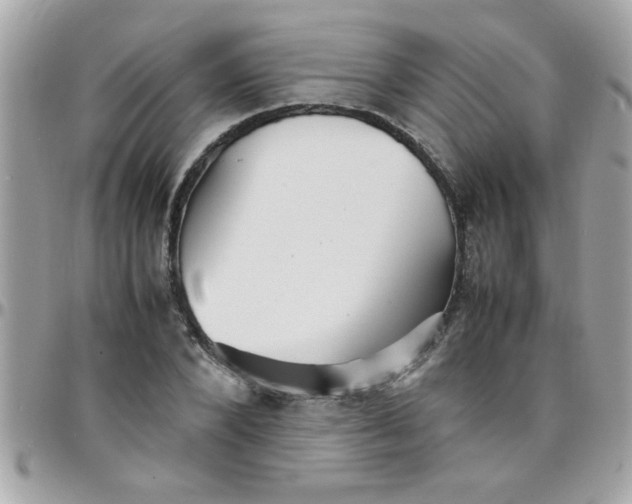 X0000097780880200803211756