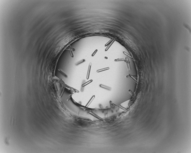 X0000097780881200803211756