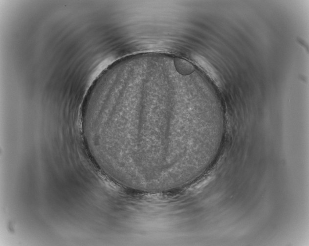 X0000097780883200803211756