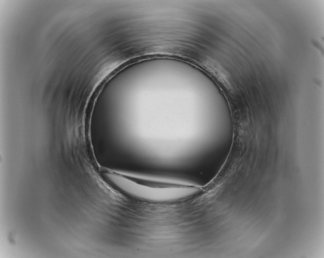 X0000097780884200803211756