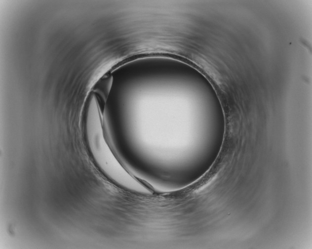 X0000097780885200803211756