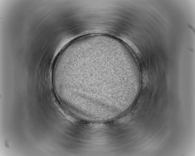 X0000097780886200803211756