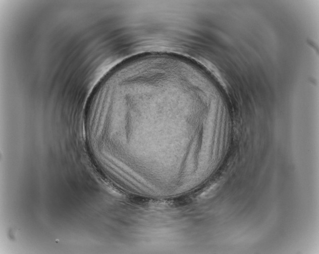 X0000097780887200803211756