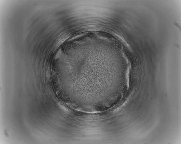 X0000097780889200803211756