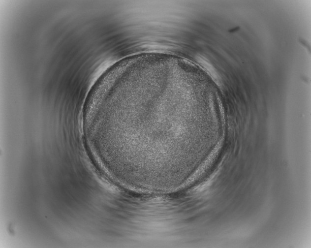 X0000097780891200803211756