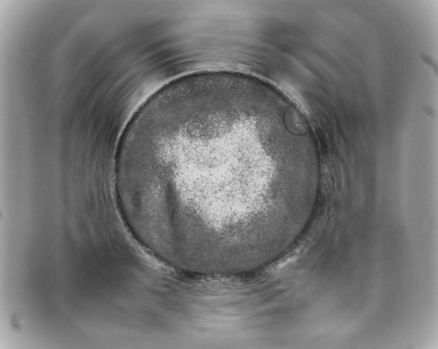 X0000097780895200803211756