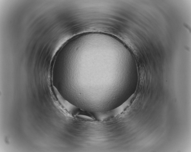 X0000097780896200803211756