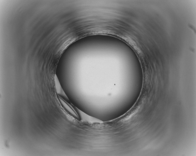 X0000097780897200803211756