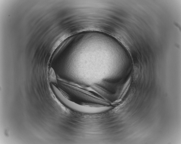 X0000097780898200803211756