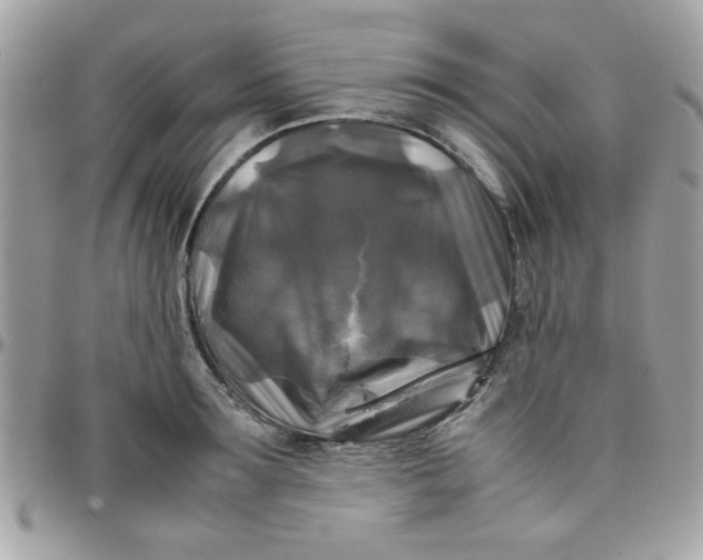 X0000097780899200803211756