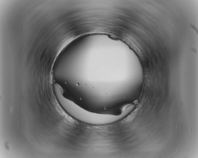 X0000097780900200803211756