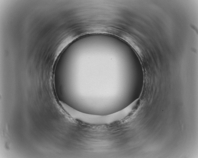 X0000097780901200803211756