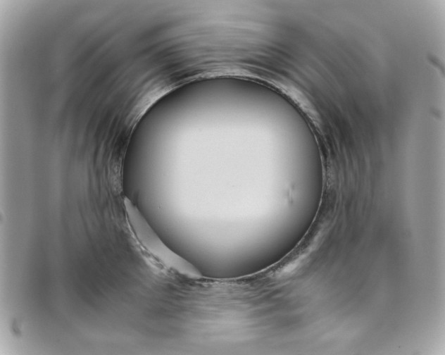 X0000097780905200803211756