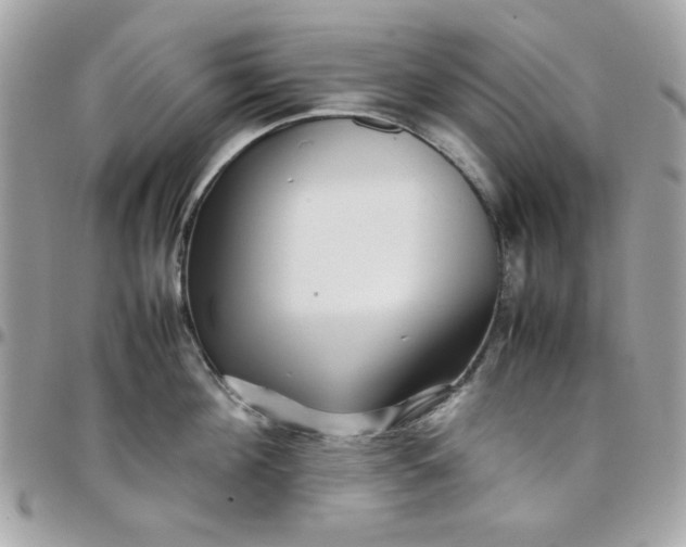 X0000097780908200803211756