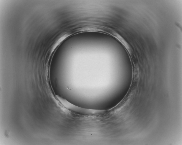 X0000097780909200803211756