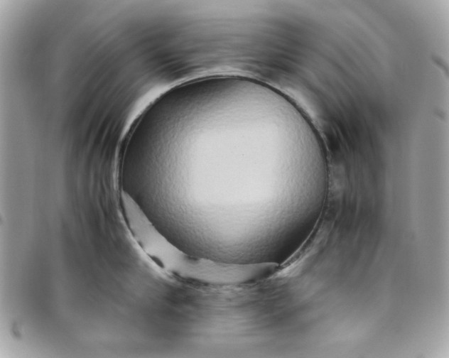 X0000097780910200803211756