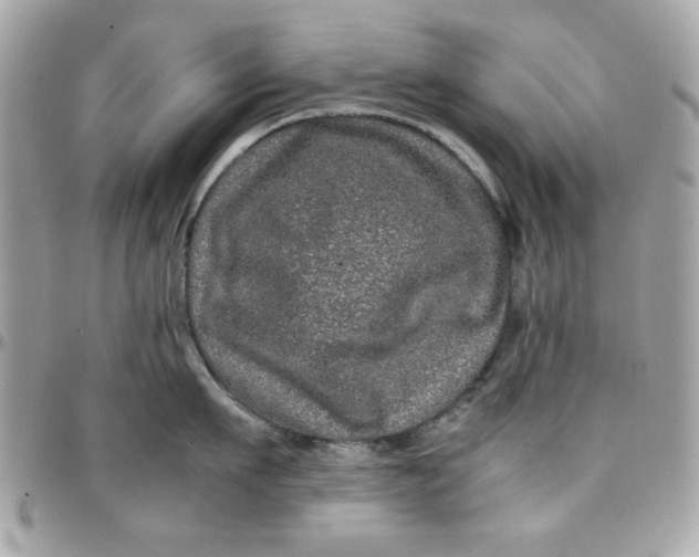 X0000097780911200803211756