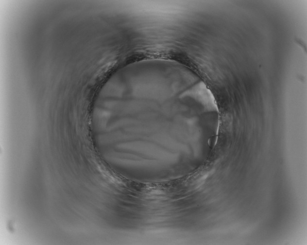 X0000097780913200803211755