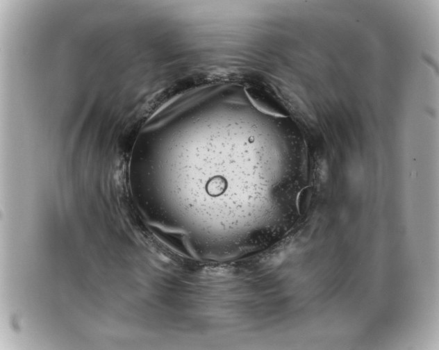 X0000097780914200803211755