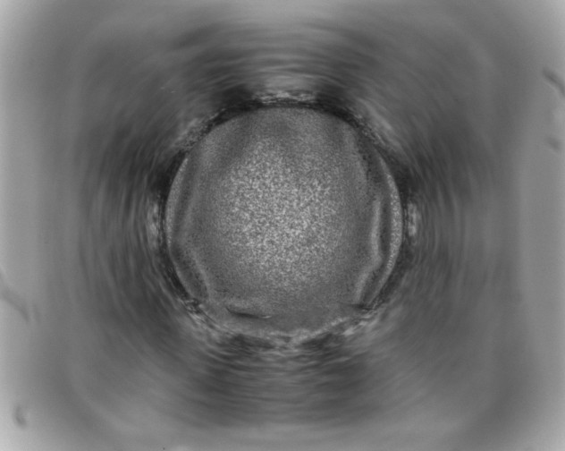 X0000097780915200803211755