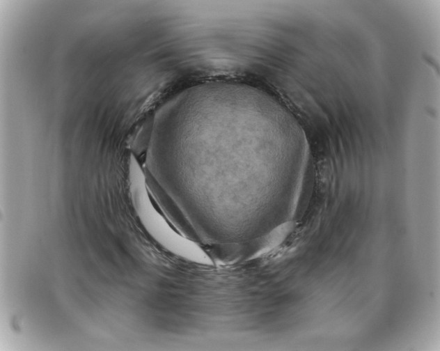 X0000097780916200803211755