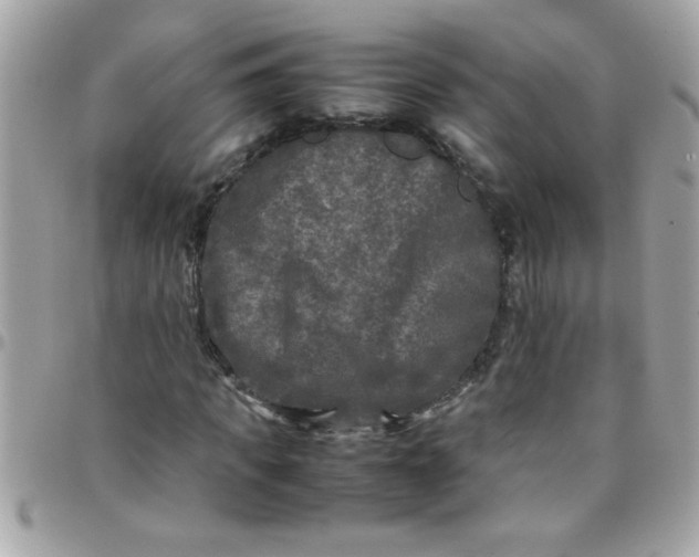 X0000097780917200803211755