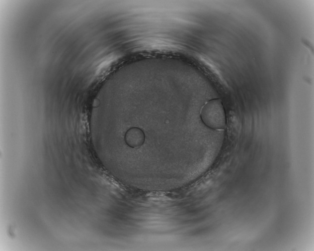 X0000097780918200803211755