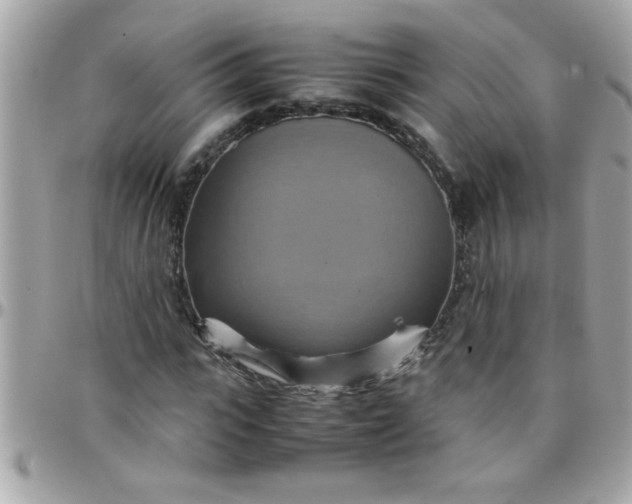 X0000097780919200803211755