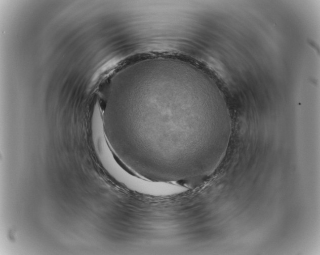 X0000097780920200803211755