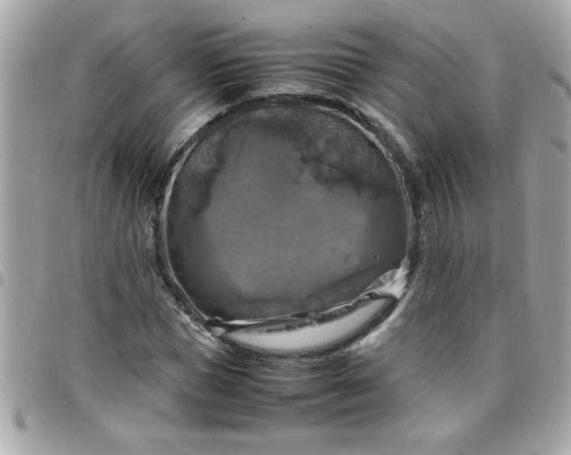 X0000097780921200803211755