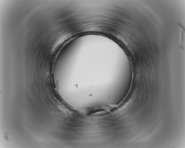 X0000097780922200803211755