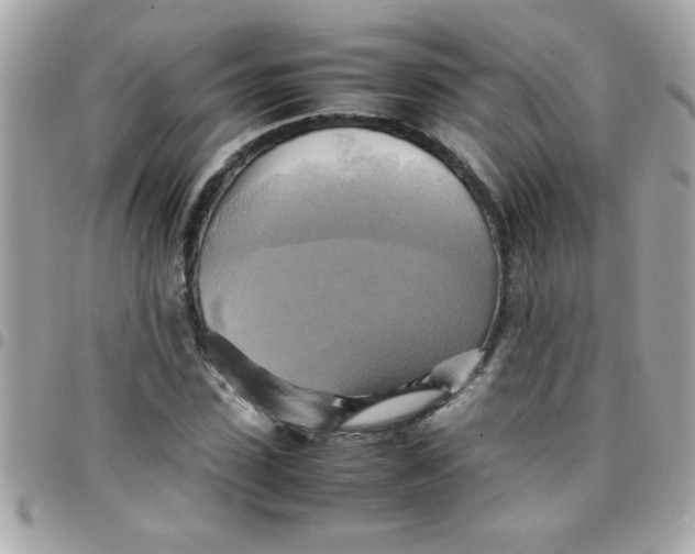 X0000097780923200803211755