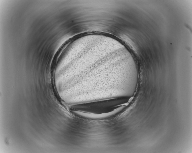 X0000097780924200803211755