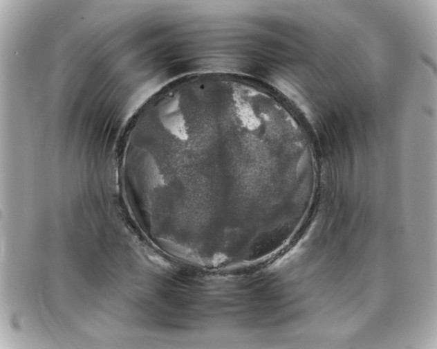 X0000097780925200803211755