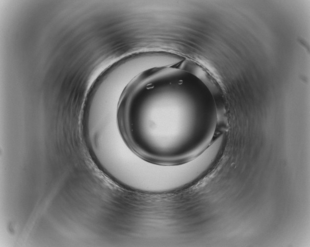 X0000097780928200803211755