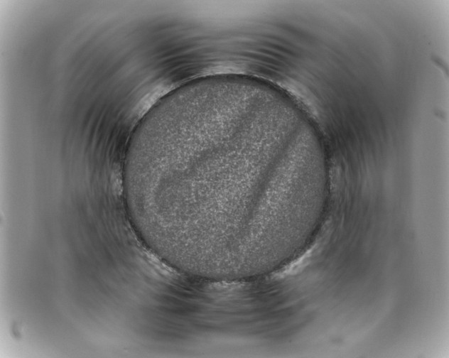 X0000097780929200803211755