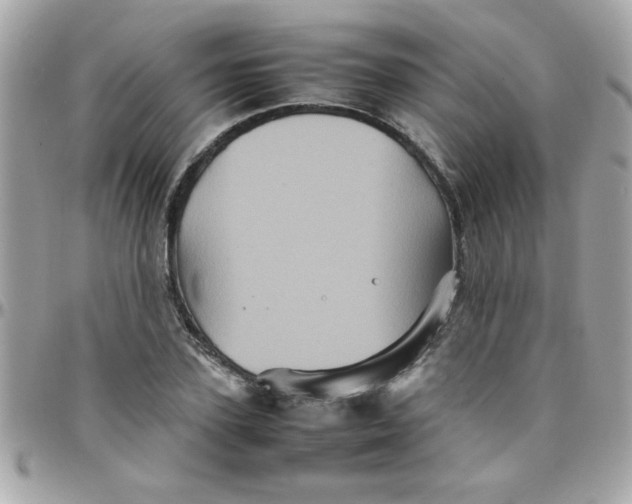 X0000097780931200803211755