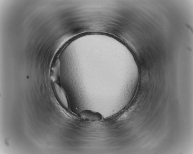 X0000097780932200803211755